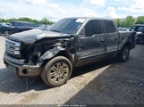 Ford F-150 Platinum 1FTFW1CF6DFA60141 снимка
