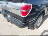 Ford F-150 Platinum 1FTFW1CT4DFA52870 снимка