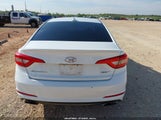 HYUNDAI SONATA SPORT 5NPE34AF1GH273890 fotografie