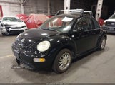 Volkswagen New Beetle Gl 3VWBB21C31M445741 снимка