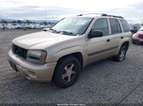 Chevrolet Trailblazer Ls 1GNDT13S252356514 снимка