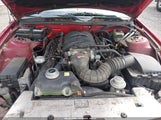 FORD MUSTANG GT DELUXE/GT PREMIUM 1ZVFT82H355124175 photo