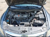 HONDA ACCORD 2.4 LX-P 1HGCP2F42BA128768 photo