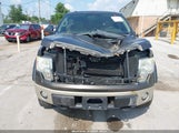 Ford F-150 Fx4/King Ranch/Lariat/Platinum/Xl/Xlt 1FTPW14V59FA20117 photo