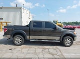 Ford F-150 Fx4/King Ranch/Lariat/Platinum/Xl/Xlt 1FTPW14V59FA20117 photo