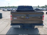 Ford F-150 Fx4/King Ranch/Lariat/Platinum/Xl/Xlt 1FTPW14V59FA20117 photo
