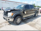 Ford F-150 Fx4/King Ranch/Lariat/Platinum/Xl/Xlt 1FTPW14V59FA20117 photo