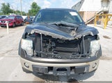 Ford F-150 Fx4/King Ranch/Lariat/Platinum/Xl/Xlt 1FTPW14V59FA20117 photo