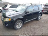 FORD ESCAPE XLT 1FMCU93ZX8KA07744 снимка