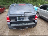 FORD ESCAPE XLT 1FMCU93ZX8KA07744 снимка