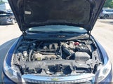 FORD TAURUS SEL 1FAHP2EW9BG105966 fotografie