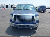 FORD F-150 FX4/HARLEY-DAVIDSON/KING RANCH/LARIAT/PLATINUM/XL/XLT 1FTFW1EV6AKE71384 fotografie