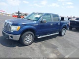 FORD F-150 FX4/HARLEY-DAVIDSON/KING RANCH/LARIAT/PLATINUM/XL/XLT 1FTFW1EV6AKE71384 fotografie