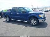 FORD F-150 FX4/HARLEY-DAVIDSON/KING RANCH/LARIAT/PLATINUM/XL/XLT 1FTFW1EV6AKE71384 снимка