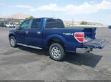 FORD F-150 FX4/HARLEY-DAVIDSON/KING RANCH/LARIAT/PLATINUM/XL/XLT 1FTFW1EV6AKE71384 fotografie