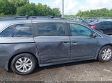Honda Odyssey Ex-L 5FNRL5H65HB001517 снимка