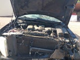 Ford F-150 Fx4/Harley-Davidson/King Ranch/Lariat/Platinum/Xl/Xlt 1FTFW1EV6AKE20094 photo