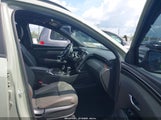 Hyundai Santa Cruz Limited 5NTJEDAF5PH067899 photo