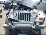 Jeep Wrangler Sport 1J4FA49S33P313343 снимка