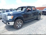 Ford F-150 Fx4/Harley-Davidson/King Ranch/Lariat/Platinum/Xl/Xlt 1FTFW1EV8AFC88142 снимка