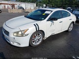 NISSAN MAXIMA 3.5 SV 1N4AA5AP1AC819387 снимка