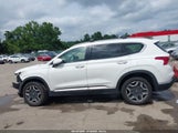 Hyundai Santa Fe Hybrid Sel Premium 5NMS3DA17PH005186 fotografie