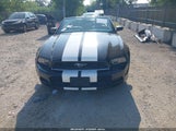 Ford Mustang V6 1ZVBP8EM8E5208259 fotografie