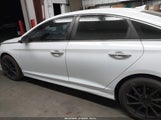Hyundai Sonata Sel 5NPE34AF0KH806109 снимка