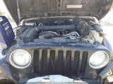 Jeep Wrangler Sahara 1J4FA59SXYP788498 снимка