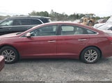 Hyundai Sonata Eco 5NPE24AA7FH227390 снимка