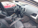 Jeep Cherokee Trailhawk 1C4PJMBB4EW216603 снимка