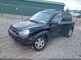 Hyundai Tucson Limited V6/Se KM8JN72D28U827254 photo