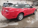 Ford Mustang V6 Deluxe/V6 Premium 1ZVFT84N775262470 photo