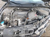 HONDA ACCORD LX 1HGCR2F38DA146101 снимка