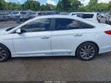 Hyundai Sonata Sport 5NPE34AFXGH435595 photo