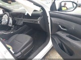 Hyundai Santa Cruz Sel 5NTJBDDE9SH126540 photo