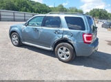 Ford Escape Xlt 1FMCU9DG3AKC88269 снимка
