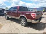 Ford F-150 Fx4/Harley-Davidson/King Ranch/Lariat/Platinum/Xl/Xlt 1FTFW1EV1AFA50102 fotografie