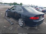 Acura Tsx JH4CL96876C012772 снимка