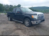 FORD F-150 FX4/LARIAT/XL/XLT 1FTFX1EV8AFC46471 снимка