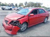 Toyota Corolla S 1NXBU4EE6AZ299170 снимка