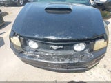 Ford Mustang V6 Deluxe/V6 Premium 1ZVFT84NX75303187 photo