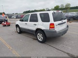 FORD ESCAPE XLT/XLT SPORT 1FMYU93197KB19417 снимка