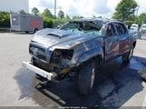 Toyota Tacoma Prerunner V6 5TFJU4GN0BX005095 photo