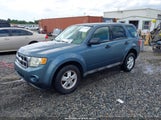 Ford Escape Xls 1FMCU0C79AKB31911 fotografie