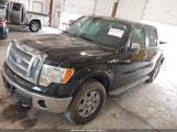 Ford F-150 Fx4/Harley-Davidson/King Ranch/Lariat/Platinum/Xl/Xlt 1FTFW1EV8AKE13860 photo