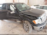 Ford F-150 Fx4/Harley-Davidson/King Ranch/Lariat/Platinum/Xl/Xlt 1FTFW1EV8AKE13860 photo