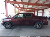 HONDA RIDGELINE RTX 2HJYK16308H515944 снимка