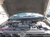 Ford F-150 Fx4/Harley-Davidson/King Ranch/Lariat/Platinum/Xl/Xlt 1FTFW1EV7AFB14546 photo