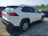 TOYOTA RAV4 LE JTMF1RFV6KD010591 снимка
